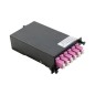 Value MPO - Module MPO - M 12x LC